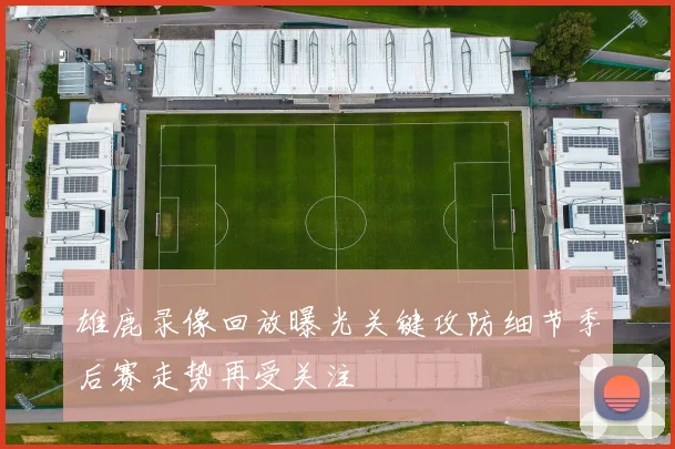 雄鹿录像回放曝光关键攻防细节季后赛走势再受关注