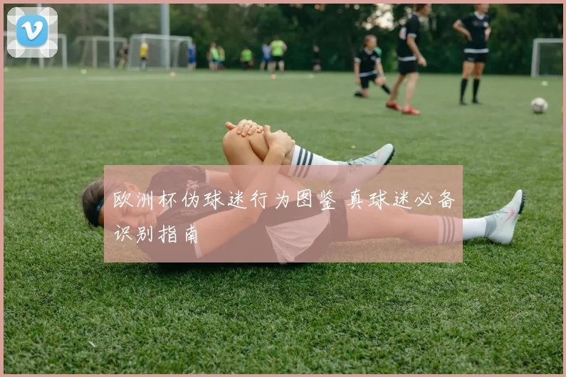 欧洲杯伪球迷行为图鉴 真球迷必备识别指南