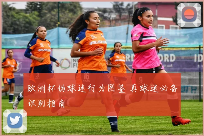 欧洲杯伪球迷行为图鉴 真球迷必备识别指南