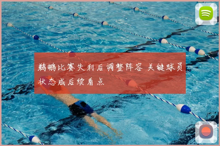 鹈鹕比赛失利后调整阵容 关键球员状态成后续看点