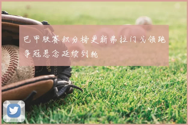 巴甲联赛积分榜更新弗拉门戈领跑争冠悬念延续到轮